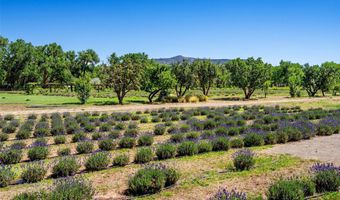 PURPLE ADOBE LAVENDER FARM 25 Private Drive 1622, Abiquiu, NM 87510
