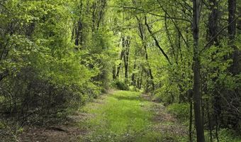 15252 27 Mile Rd, Albion, MI 49224
