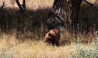 nhn Stagecoach Spur W unit 935-6 935-6, Belfry, MT 59008
