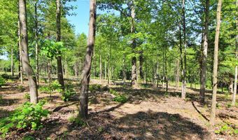 Tower Hill Rd, Appomattox, VA 24522