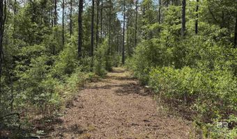 Ronald Sanks Road, Bay Minette, AL 36507