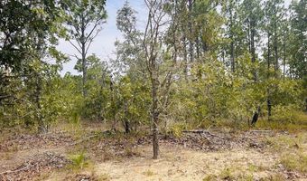 375 Village Ln, Mauk, GA 31058