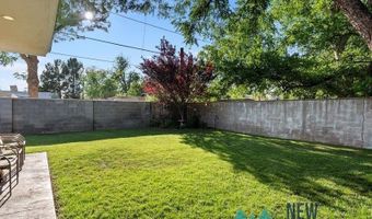 301 N Alameda St, Carlsbad, NM 88220