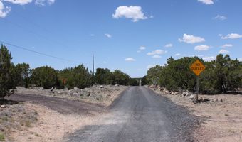 N8190, Concho, AZ 85924