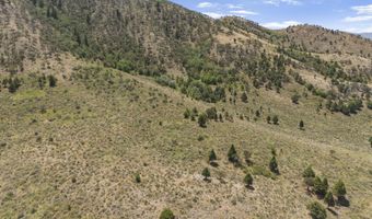Swenson Rd, Bancroft, ID 83217