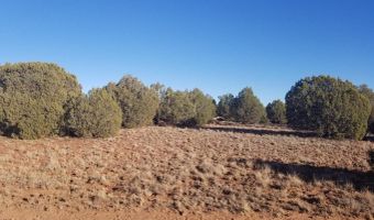 Lot 35 CR 8281, Concho, AZ 85924