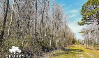 0 Plowden Mill Rd, Alcolu, SC 29001
