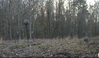 0 CR 3216, De Kalb, TX 75559