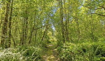 29311 NE 124TH Ave, Battle Ground, WA 98604