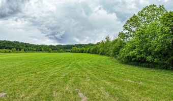 14 127 Ac Justice Rd, Afton, TN 37616