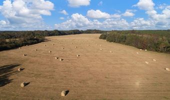 0 County Road 127, Banks, AL 36005
