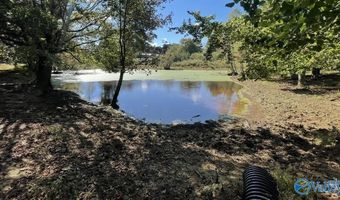 2859 B Brashiers Chapel Rd, Arab, AL 35016