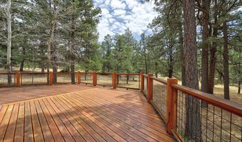 14 Winterwood Ct, Angel Fire, NM 87710