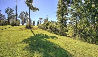 3931 Upper Bethany Rd, Ball Ground, GA 30107