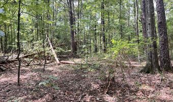 Brock Cir, Brandon, MS 39042