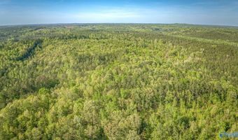 87 Acres Kay Hollis Rd, Beaverton, AL 35544