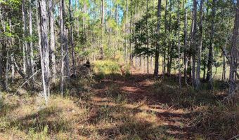 SMITH STREET, Astor, FL 32102