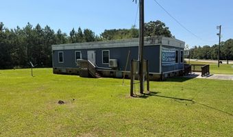 7821 Tallahassee Hwy 8.98+/- Acres, Attapulgus, GA 39815