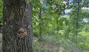 Rutherford Road, Batesville, MS 38606