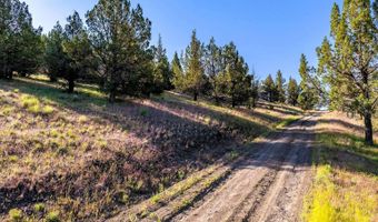 737 Raccoon Ln, Alturas, CA 96101