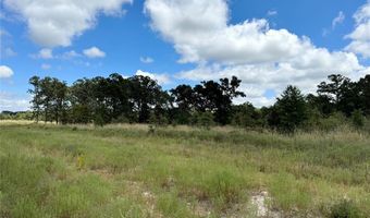 Lot 21 Rains County Rd 2610, Alba, TX 75410