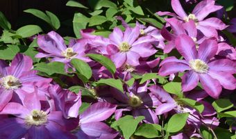 26 Woodland Dr, Barre, VT 05641