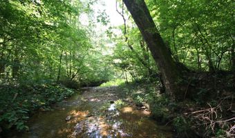 TBA BETTYS BRANCH RD X, Arvonia, VA 23004