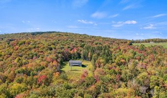 1724 Calhoun Hill Rd, Andes, NY 13731