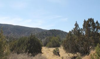 Tbd Mauer Drive, Bent, NM 88314