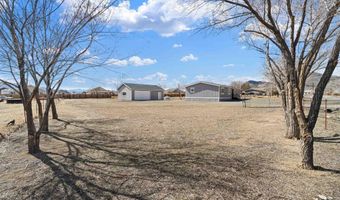 357 Sutro Springs Rd, Dayton, NV 89403