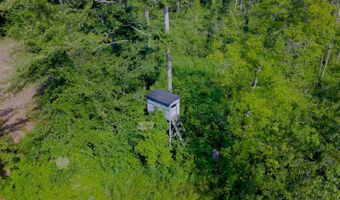 1000 Point Mason Rd, Big Sandy, TN 38221