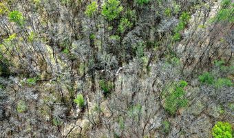 61 AC Hidden Cove Ln, Allons, TN 38541