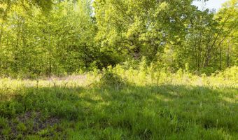 Beech Bluff Road, Beech Bluff, TN 38313