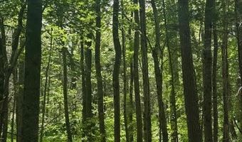 0- Lot 5 Piney Mountain Rd, Appomattox, VA 24522