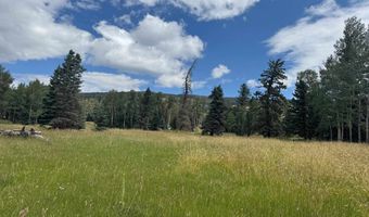 El Camino Real lot 80, Angel Fire, NM 87710