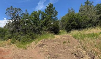 TBD-2 Vine Mesa Ave, Beulah, CO 81023