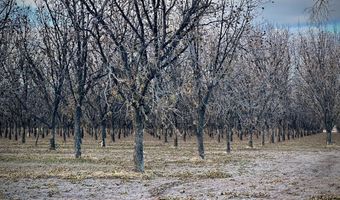 Gillett Road, Anthony, NM 88021