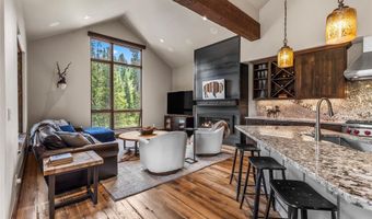 315 RIVER PARK Dr, Breckenridge, CO 80424