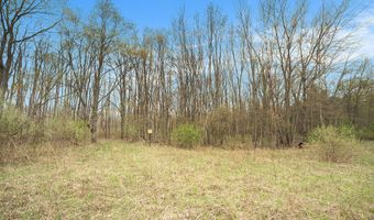 V/L Watts Road, Allegan, MI 49010