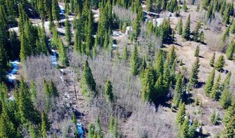 1221 Roberts Rd Lot 14, Alma, CO 80420