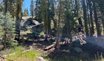 2 Blue Rock Trl, Arnold, CA 95223