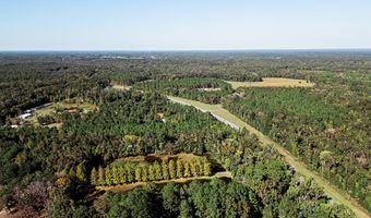 TBD State Rd 121, Alachua, FL 32615