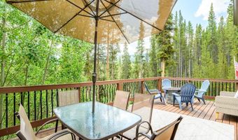 218 GOLDEN CROWN Ln, Blue River, CO 80424