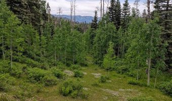 4556 Middle Mountain Rd, Bayfield, CO 81122