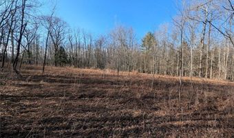 South Road, Addison, NY 14801