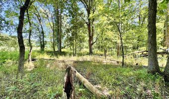 Flint Rd. E 0, Attica, IN 47918