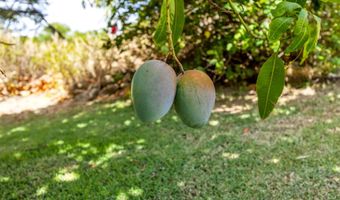 61 HULUHULU Pl, Kahului, HI 96732