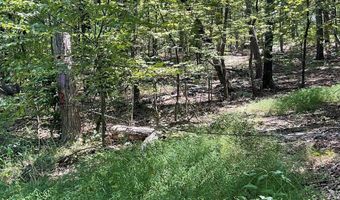 624 MOUNTAIN LION Ln, Augusta, WV 26704