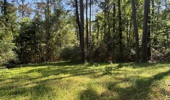 630 Boyette Cir, Attapulgus, GA 39815