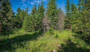 Lot 10 E Riley Loop, Athol, ID 83801